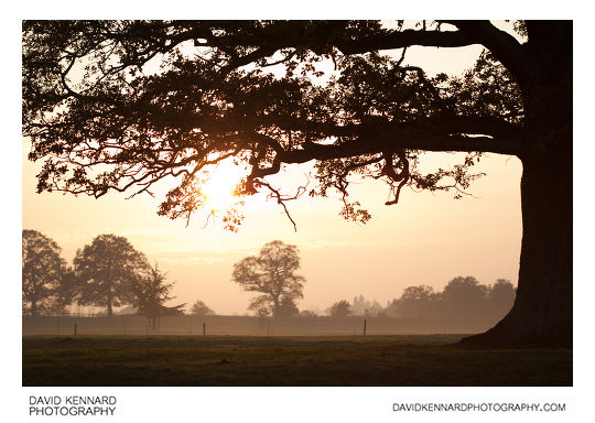 Thorpe Lubenham sunset