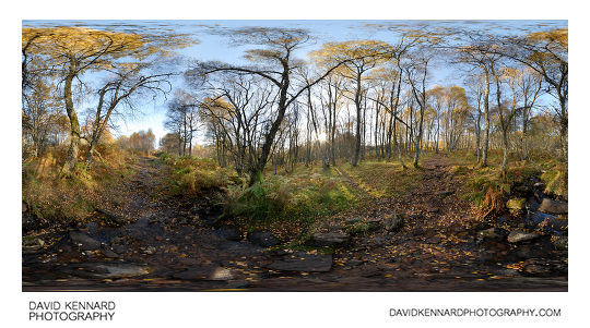 Stream through woodland in autumn