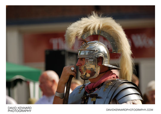 Roman Soldier