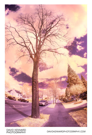 Lubenham Hill road in infrared