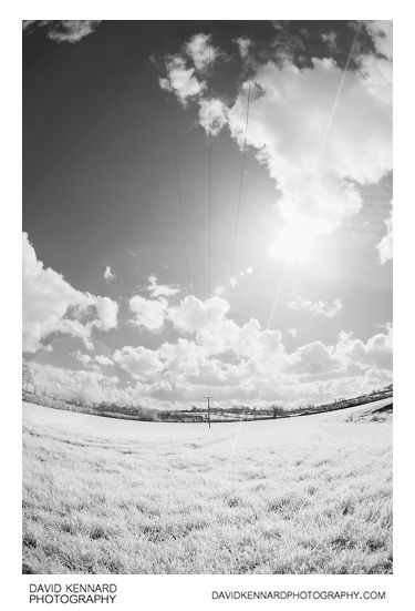 Field in infrared