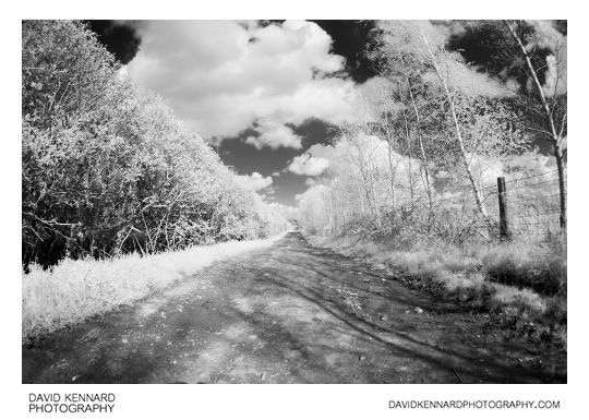 Farm track B&W Infrared