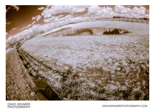 Farndon Fields pond false colour infrared