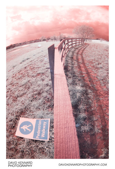 Wooden fence false colour infrared