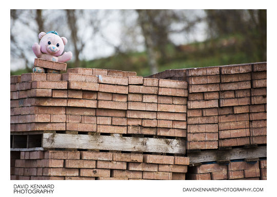 Stuffed toy on pile of bricks