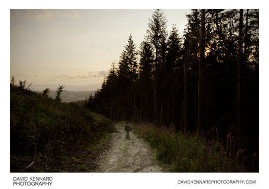 Track down Callow Hill