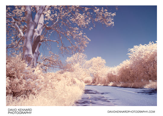 Dingley Road in Infrared