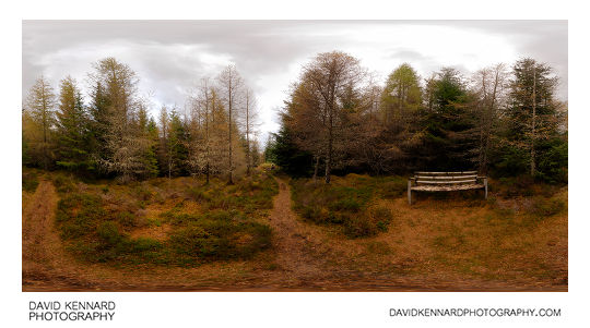 Woodland in Autumn at Allt na Criche