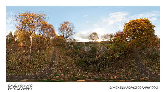 Autumn trees by the River Beauly, Kilmorack