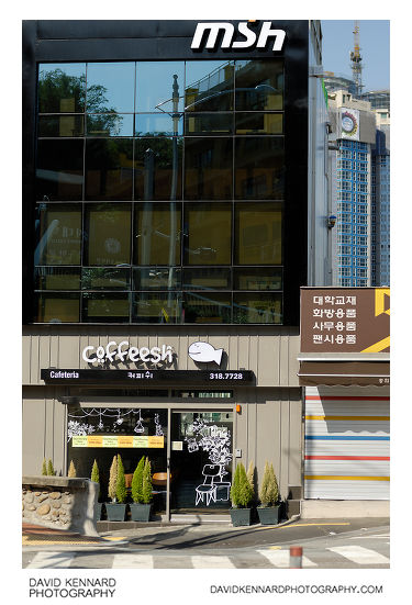 Coffeesh 커피쉬 Coffee Shop