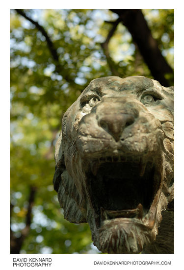 Lion statue in Baekbeom Square, Seoul, South Korea