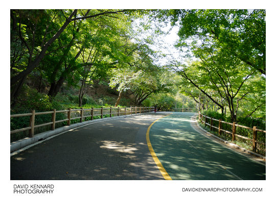 Road on Namsan