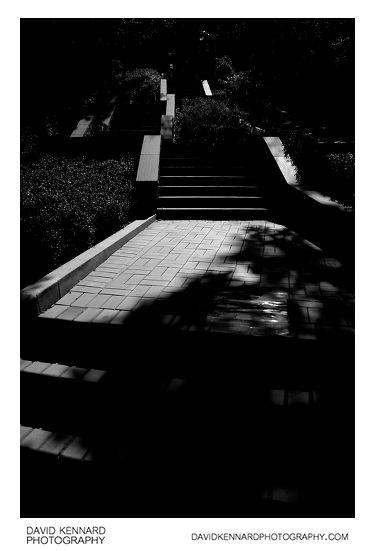 Steps up Namsan