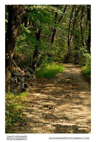 Path through woods on Namsan (남산), Seoul, South Korea