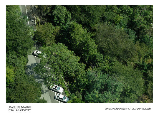 Trees and cars below from the N Seoul Tower