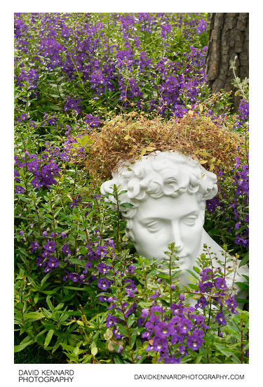 Greek bust in flowers at the bottom of Namsan (남산), Seoul, South Korea