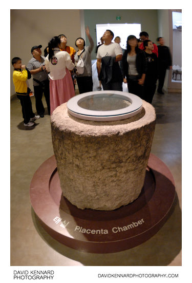 Placenta Chamber