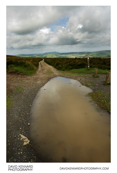 Large puddle on the Long Mynd