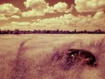 Photo of field near Market Harborough taken with the Panasonic Lumix FZ5 and the Hitech 85 Infrared filter, camera settings f/5 1s