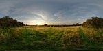 Ridge and furrow field at sunset