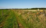 Farm track near Goadby Marwood