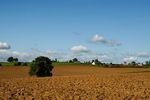 Ploughed fields, Scalford
