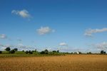 Blue sky and ploughed field, Scalford