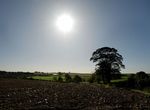 Sun and ploughed field, Scalford