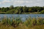 Central Lake, Melton Country Park