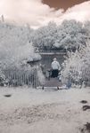 Fishing in Infrared, Corby Boating Lake