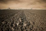 Ploughed field near Harborough in infrared