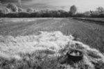 Old tyre in field in infrared