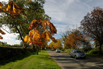 Leicester Lane, Great Bowden in Autumn