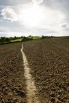 Ploughed field between Harborough and Great Bowden
