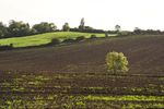 Ploughed fields between Harborough and Great Bowden