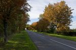 Leicester Lane in autumn, Great Bowden