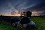 Black plastic wrapped silage bales at twilight
