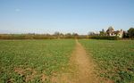 Path through field near Holcot