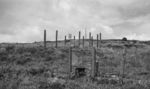 Concrete poles on Brown Clee Hill
