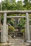 Namba Yasaka Jinja - Miyashi rock and torii gate