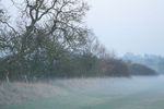 Mist filled field