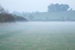 Mist filled field