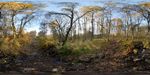 Stream through woodland in autumn