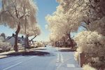 Great Bowden Road false colour infrared
