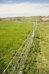 Fence & Green Fields, Somerby