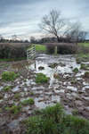 Wet, muddy gate between two fields
