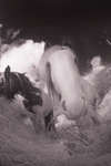 Gyspy-cob horse eating hay [IR]