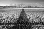 Mud path across field in infrared