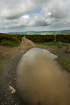 Large puddle on the Long Mynd