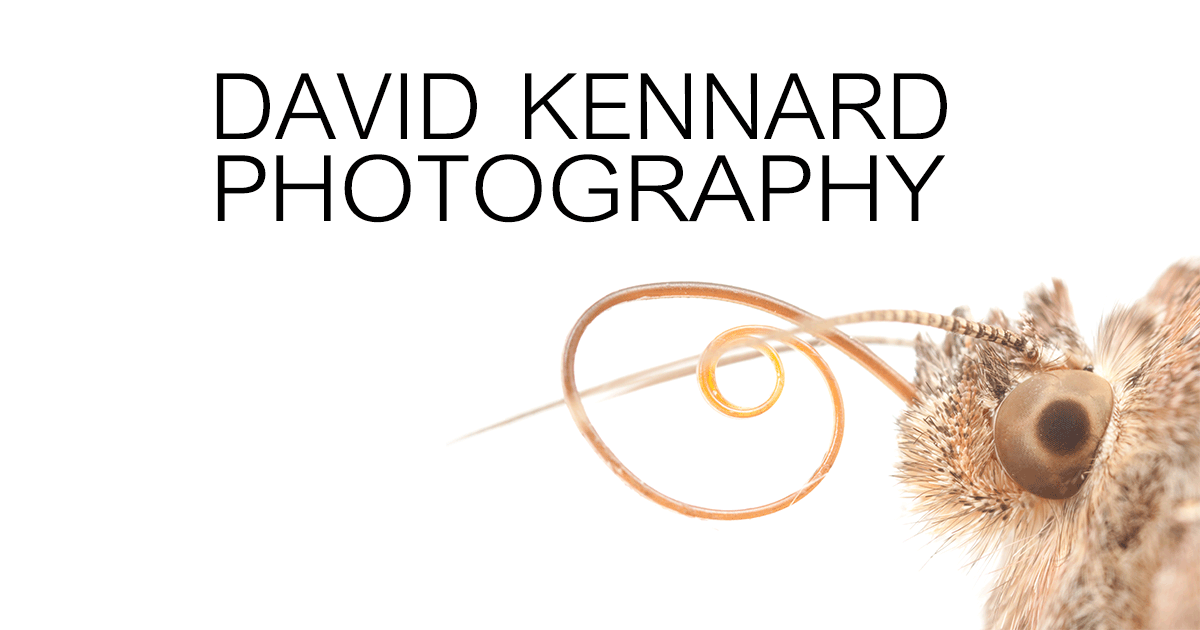 www.davidkennardphotography.com